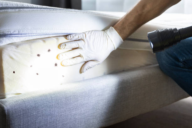 Best Wildlife Control Services  in North Springfield, VA