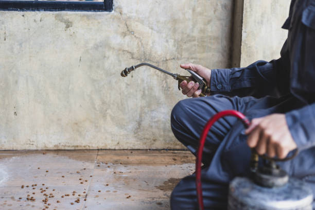 Best Local Pest Control Services  in North Springfield, VA